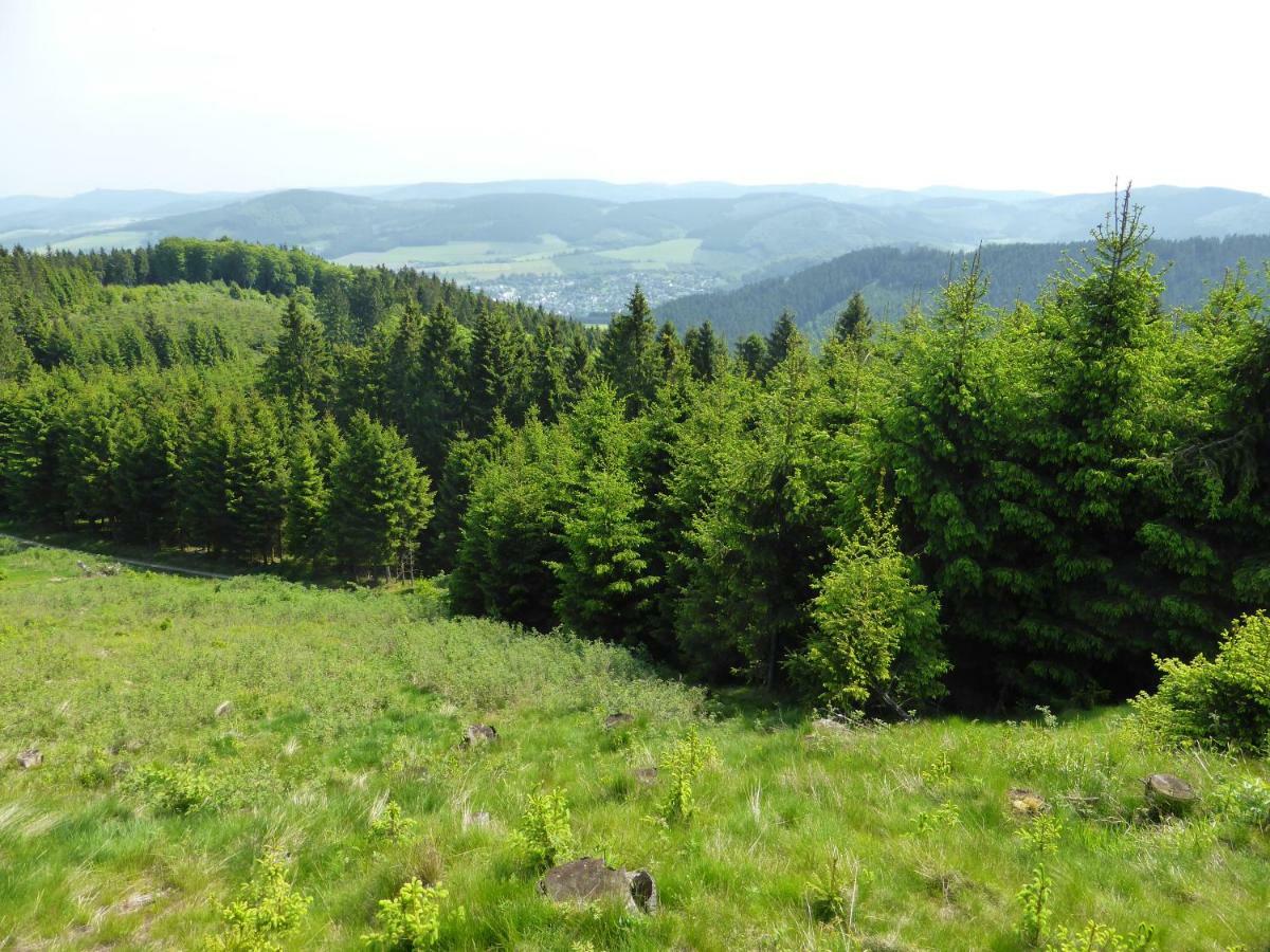 Kueken Winterberg Apartamento Exterior foto